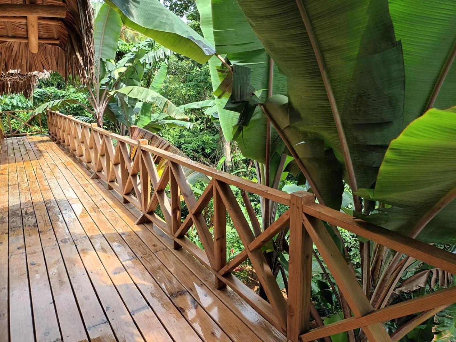 Samo Eco Lodge Las Terrenas Exterior foto